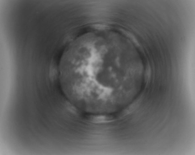 X0000113860473200910011025