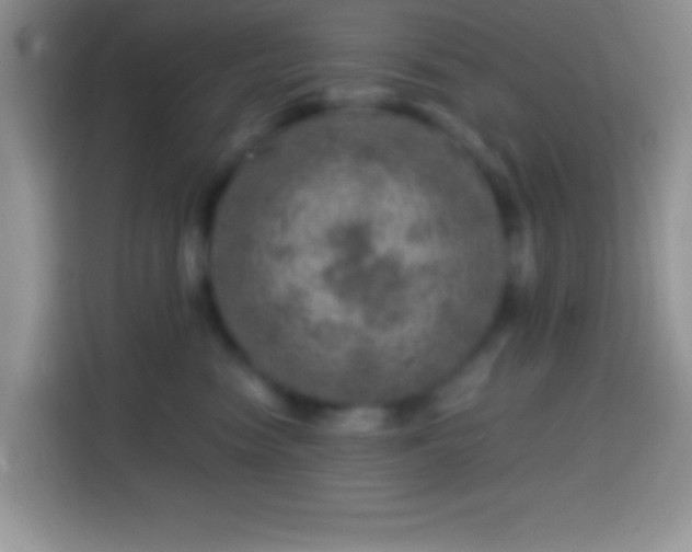X0000113860474200910011025