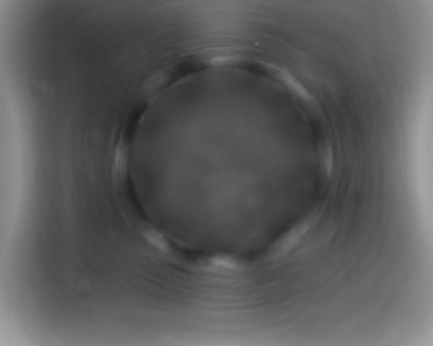 X0000113860475200910011025