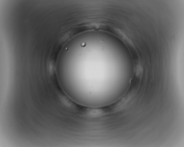 X0000113860476200910011025