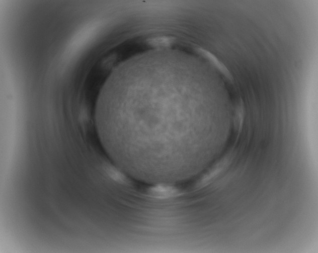 X0000113860477200910011025