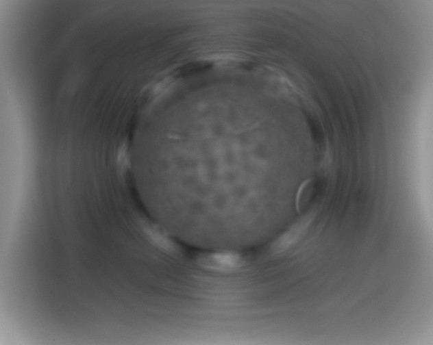 X0000113860478200910011025