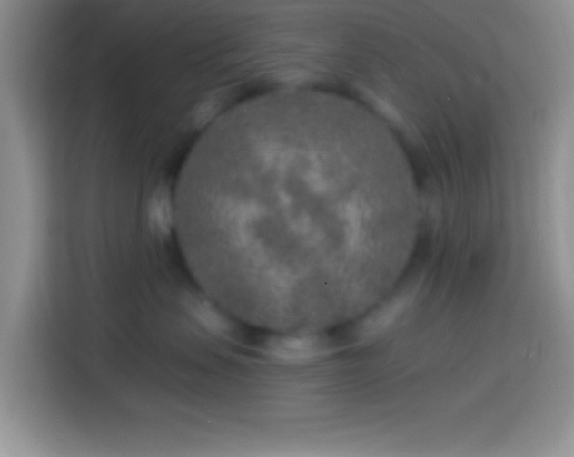 X0000113860479200910011025