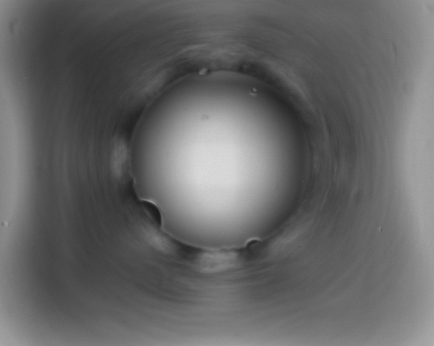 X0000113860480200910011025