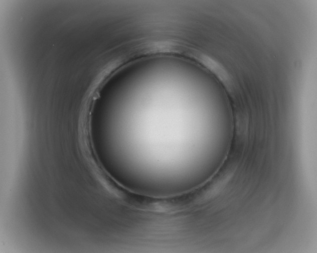 X0000113860481200910011024