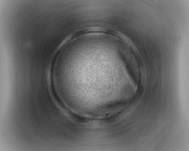X0000113860482200910011024