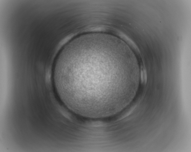 X0000113860483200910011024