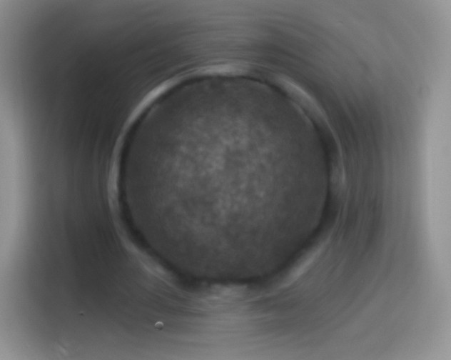 X0000113860484200910011024