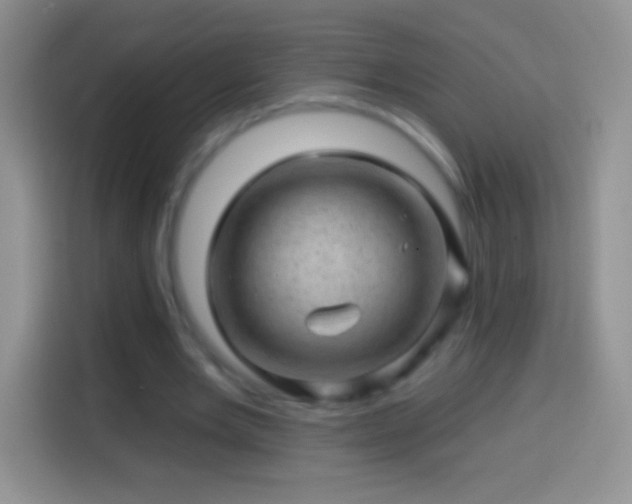 X0000113860485200910011024
