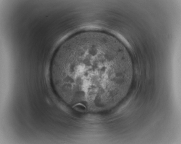 X0000113860487200910011024