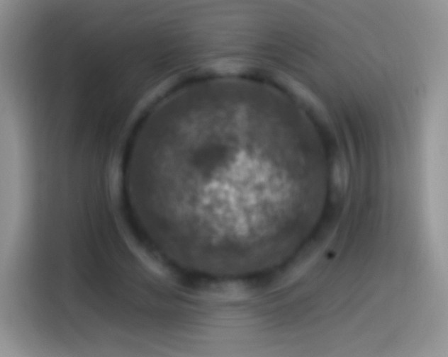 X0000113860492200910011024