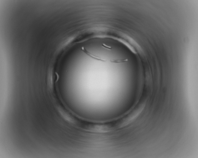 X0000113860493200910011024