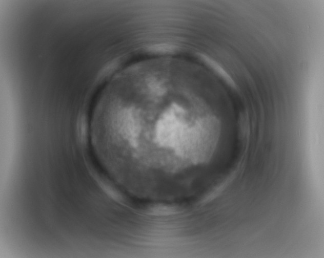 X0000113860494200910011024