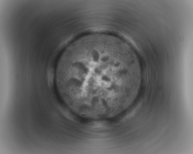 X0000113860495200910011024