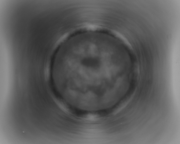 X0000113860496200910011024
