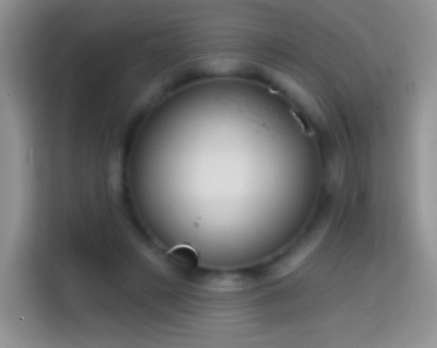 X0000113860497200910011024