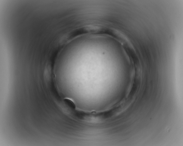 X0000113860498200910011024