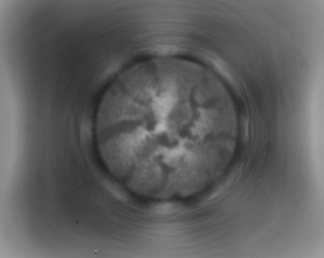 X0000113860499200910011024