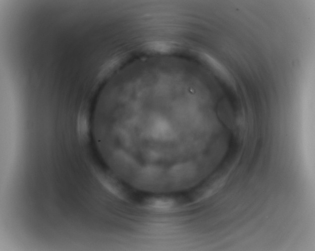 X0000113860500200910011024