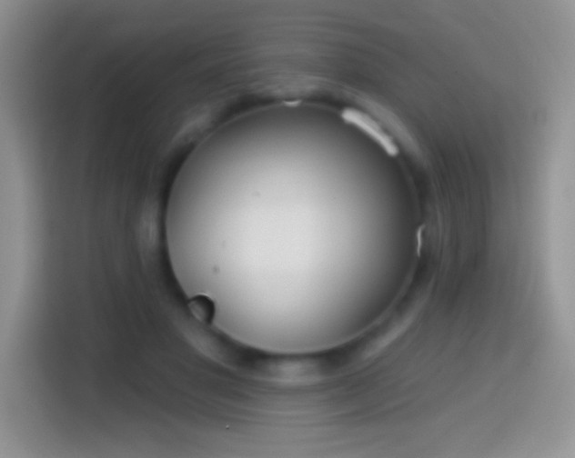 X0000113860501200910011024