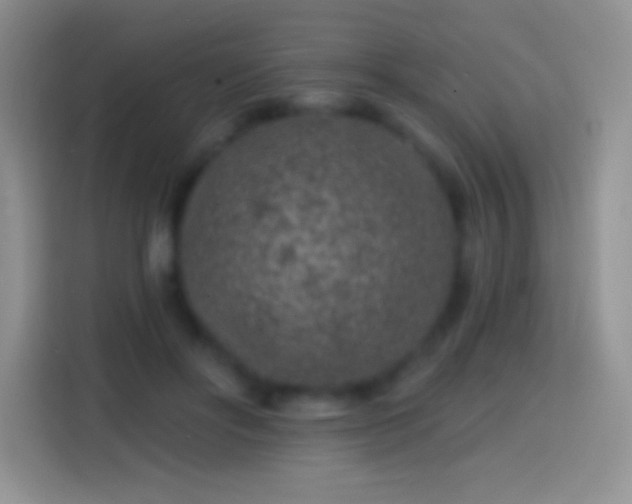 X0000113860502200910011024