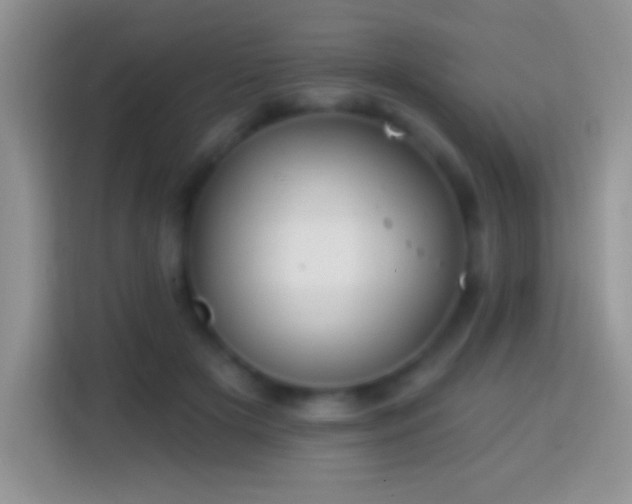 X0000113860505200910011024