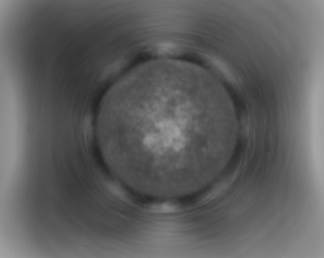 X0000113860506200910011024