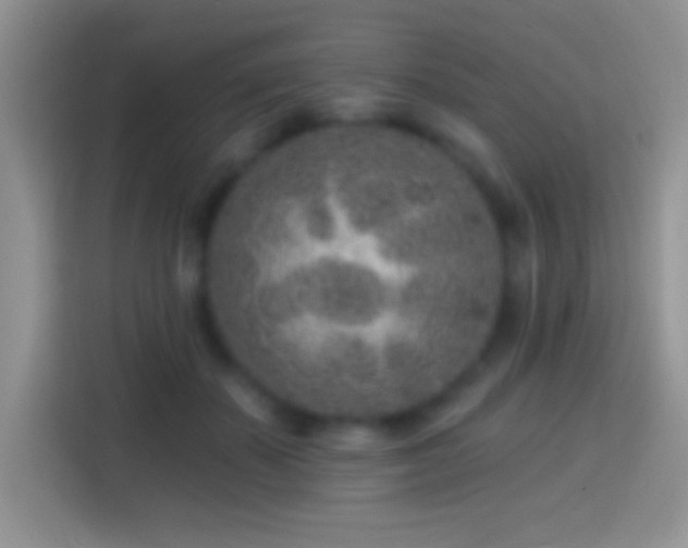 X0000113860507200910011024