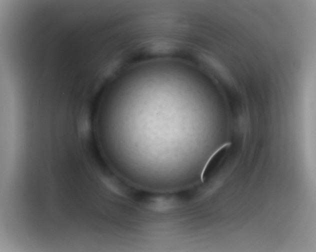 X0000113860508200910011024