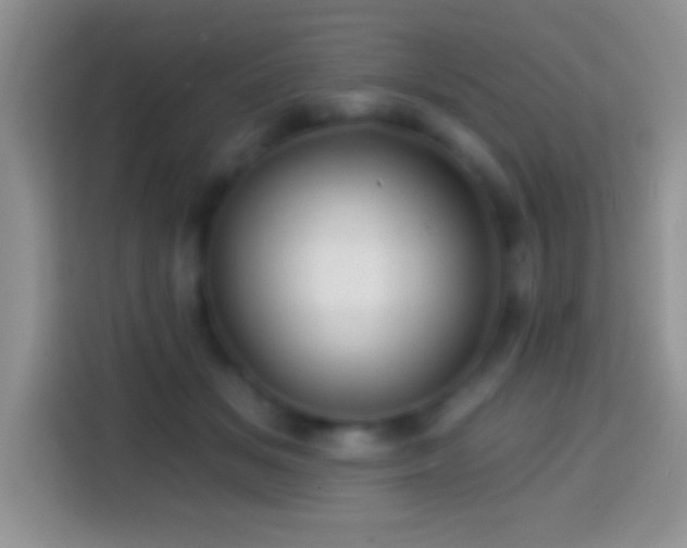 X0000113860509200910011024