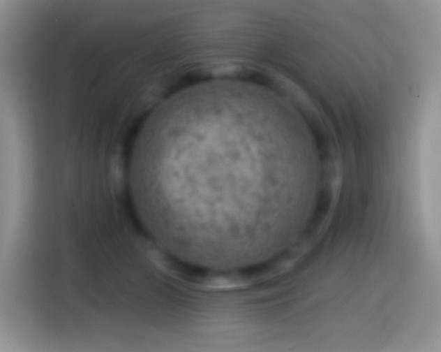 X0000113860510200910011024
