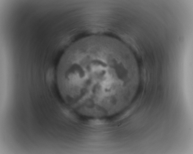 X0000113860511200910011024
