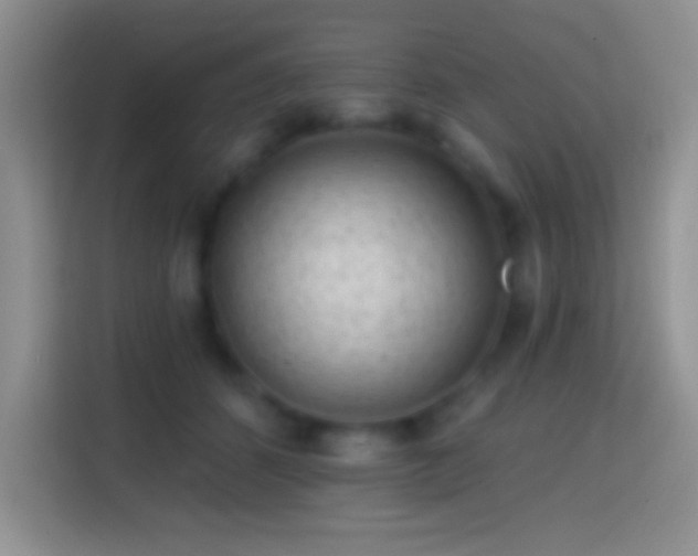 X0000113860512200910011024