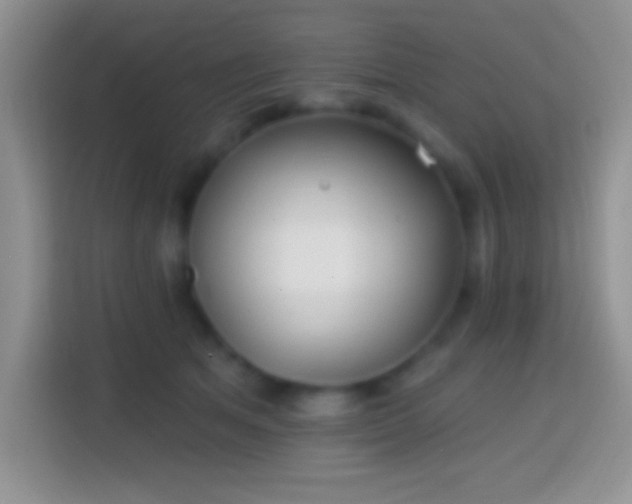 X0000113860513200910011024