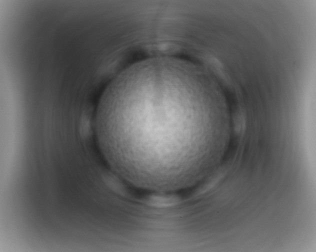 X0000113860515200910011024