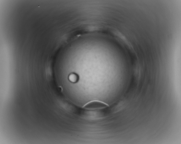 X0000113860516200910011024
