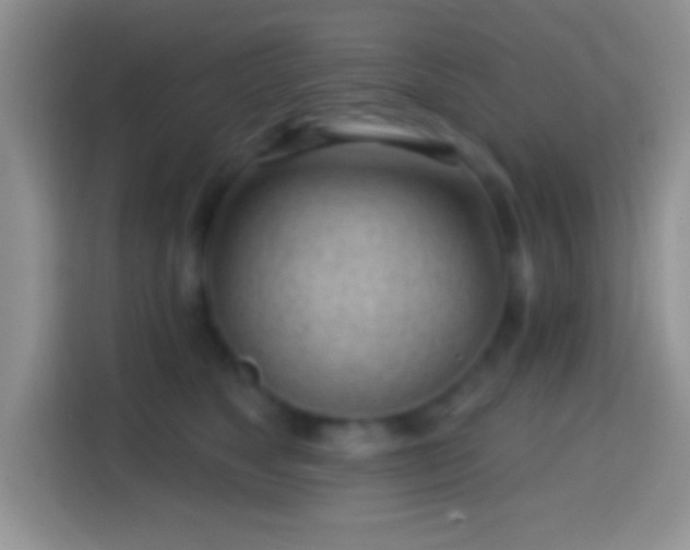 X0000113860517200910011024
