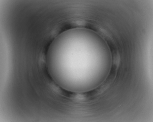 X0000113860518200910011024
