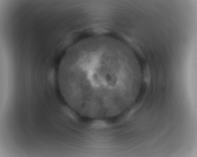 X0000113860519200910011024