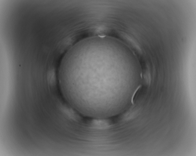 X0000113860520200910011024