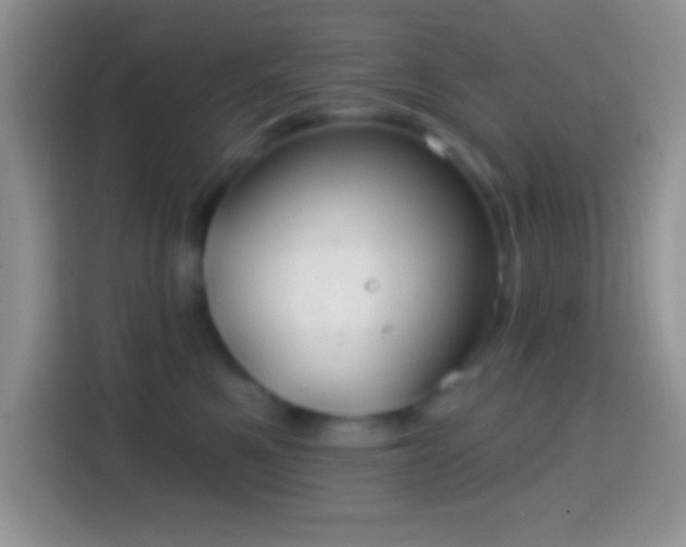 X0000113860521200910011024