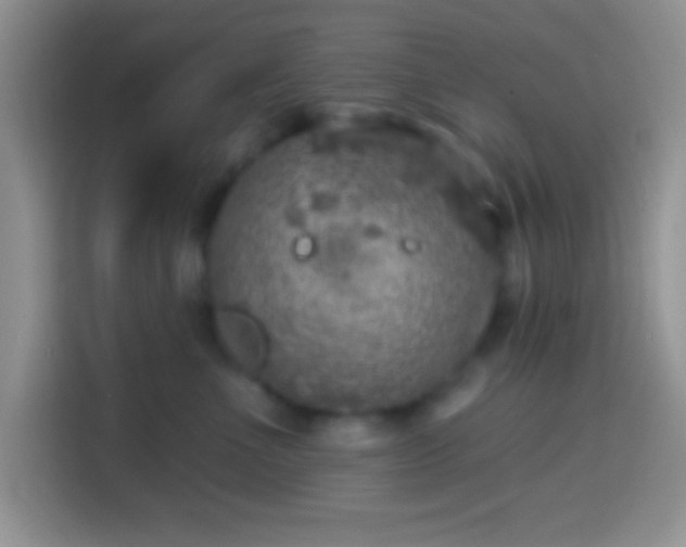 X0000113860523200910011024