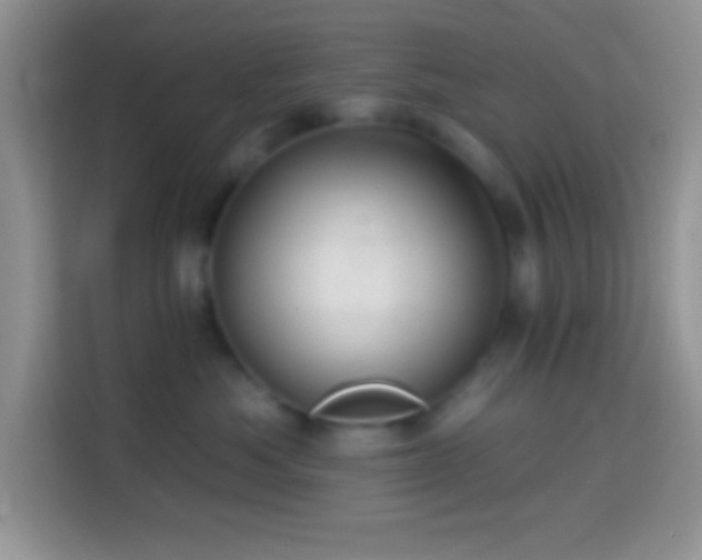 X0000113860525200910011024