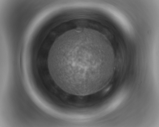X0000113860527200910011024