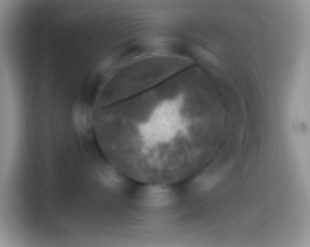 X0000113860528200910011024