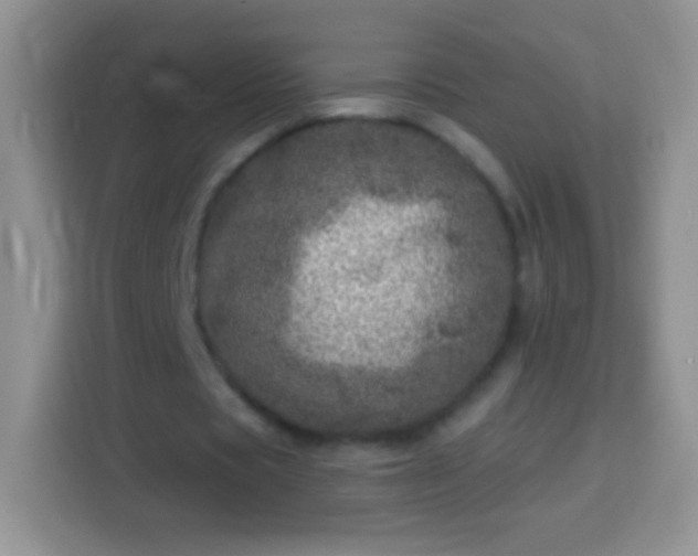 X0000113860529200910011023