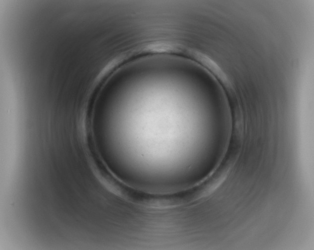 X0000113860530200910011023