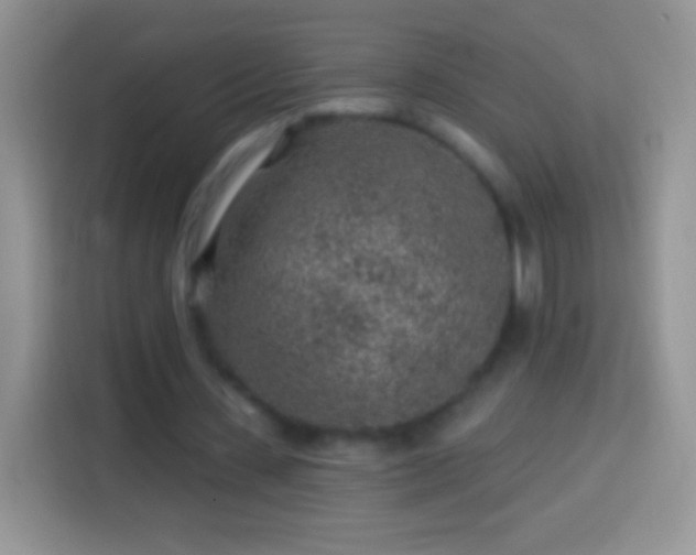 X0000113860531200910011023