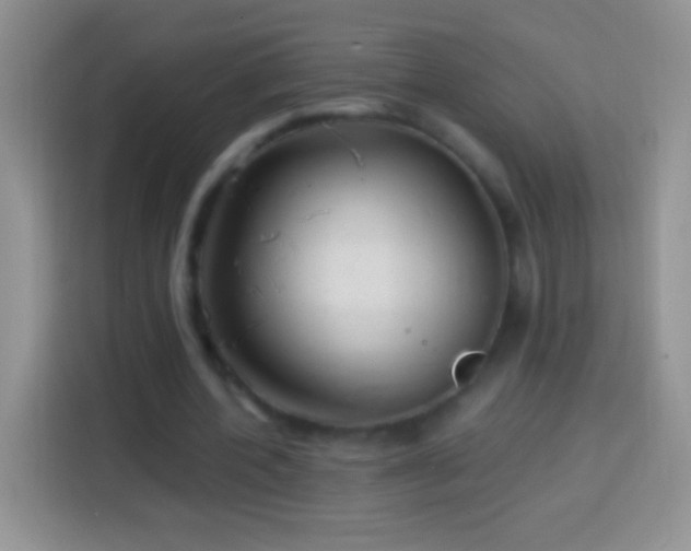 X0000113860532200910011023