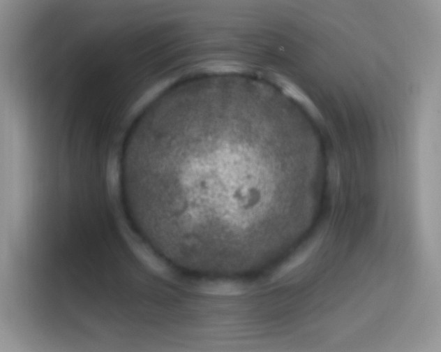 X0000113860533200910011023